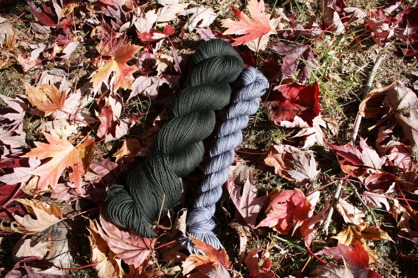 Embrace of the Grave sock set